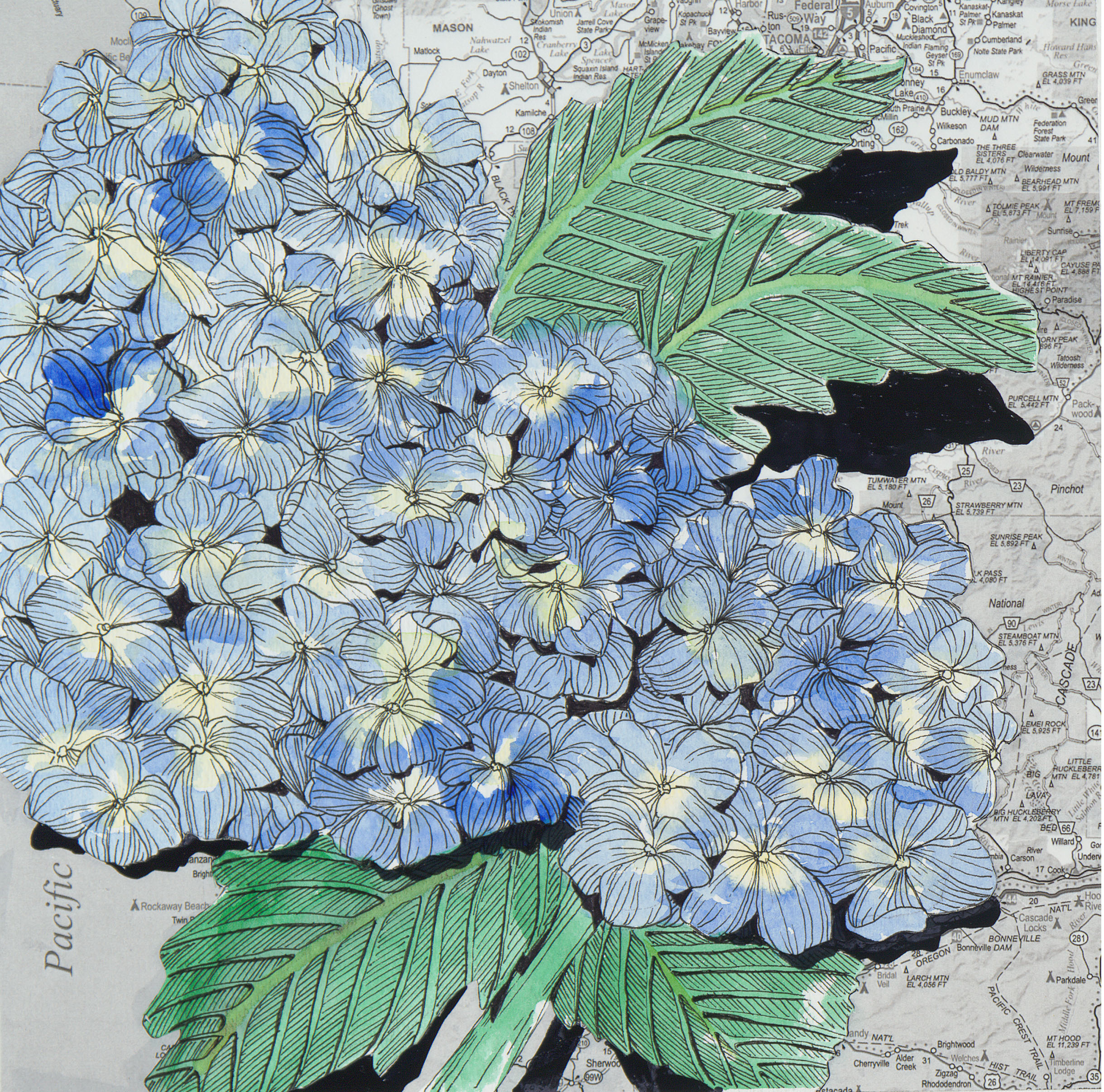 Blue Hydrangea - Watercolor and Ink with Map Giclee on Wood